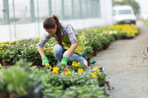 Customer complaint review for a landscaping project