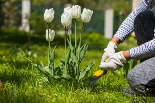 Local Sudbury soft landscaping for a commercial outdoor area