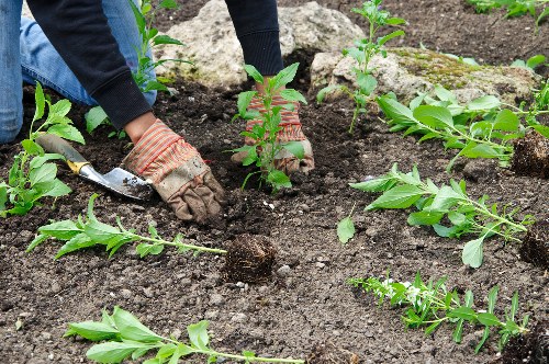 Landscaping quote breakdown for a residential yard refresh in Sudbury