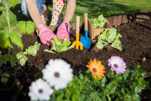 A redesigned Sudbury garden with new layout and planting areas