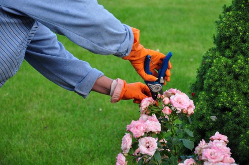 Front yard landscaping with curb appeal and lighting in Sudbury